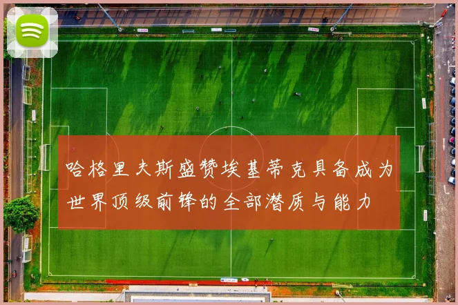 哈格里夫斯盛赞埃基蒂克具备成为世界顶级前锋的全部潜质与能力