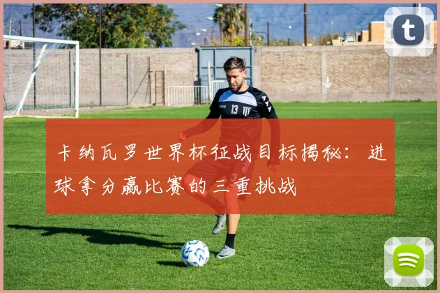 卡纳瓦罗世界杯征战目标揭秘：进球拿分赢比赛的三重挑战