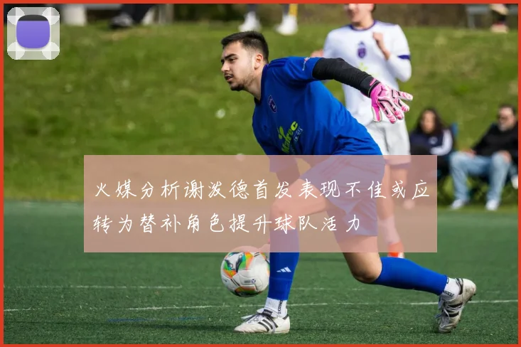 火媒分析谢泼德首发表现不佳或应转为替补角色提升球队活力